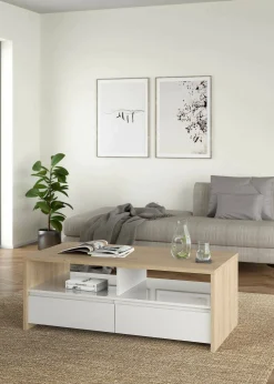 Tavolino da salotto Shote, 60x120 h46 cm, Rovere e Bianco<Dmora Best Sale